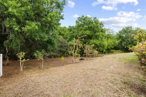 Exterior - 10925 Rockledge View Dr, Riverview, FL 33579 photo 7 of 8