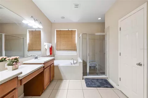 Bath - 10925 Rockledge View Dr, Riverview, FL 33579 photo 3 of 4