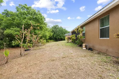 Exterior - 10925 Rockledge View Dr, Riverview, FL 33579 photo 6 of 8