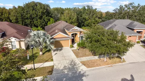 View/Area - 10925 Rockledge View Dr, Riverview, FL 33579 photo 1 of 8