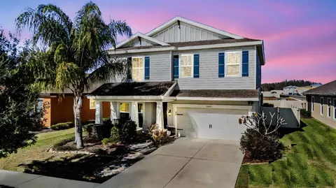 32401 Natural Bridge Rd, Wesley Chapel, FL 33543