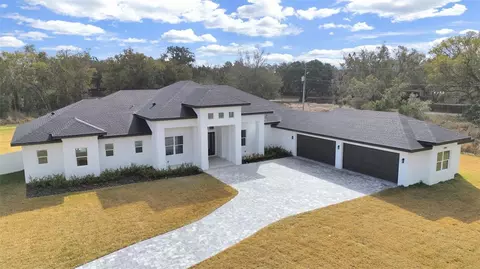 17841 Simmons Rd, Lutz, FL 33548