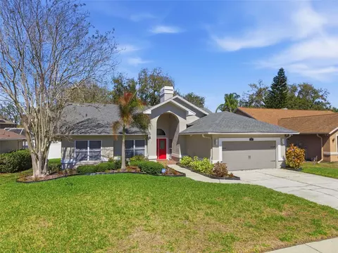 905 Clearcreek Dr, Tampa, FL 33613