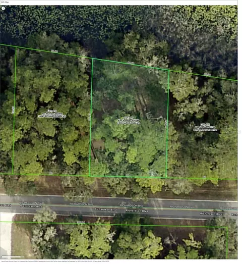 tbd Richardson Blvd, Webster, FL 33597
