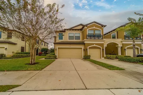 11437 Crowned Sparrow Ln, Tampa, FL 33626