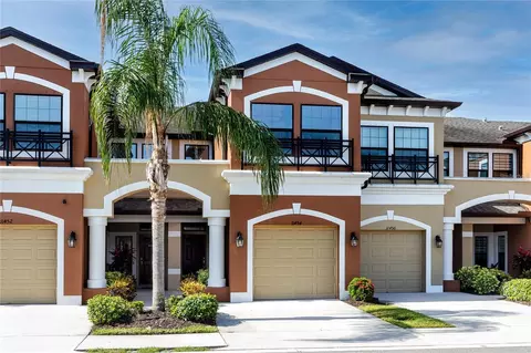 11454 Crowned Sparrow Ln, Tampa, FL 33626