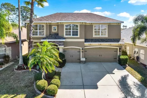 23916 Plantation Palms Blvd, Land O Lakes, FL 34639