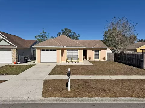 8518 Misty River Ct, Tampa, FL 33637