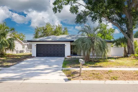 2436 Beacon Groves Blvd, Palm Harbor, FL 34683