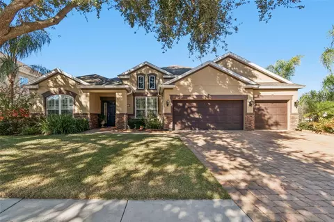 1116 Hillandale Reserve Dr, Tampa, FL 33613