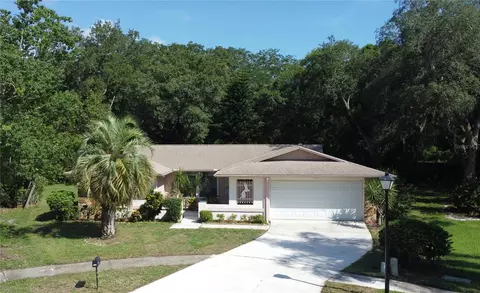 3405 Dove Hollow Ct, Palm Harbor, FL 34683