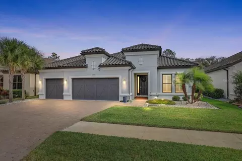 20113 Umbria Hill Dr, Tampa, FL 33647