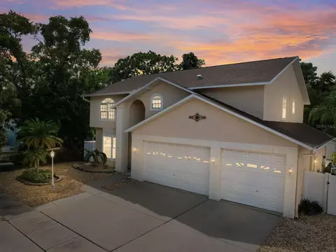 4738 Innisfil St, Palm Harbor, FL 34683