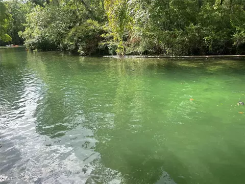6120 Waverly Rd, Weeki Wachee, FL 34607 photo 3