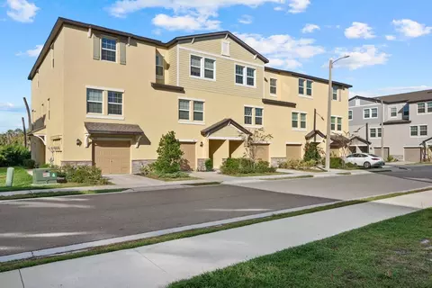 809 Tennyson Mill Cir, Tampa, FL 33619