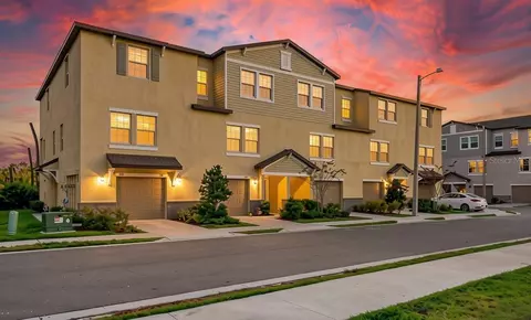 809 Tennyson Mill Cir, Tampa, FL 33619