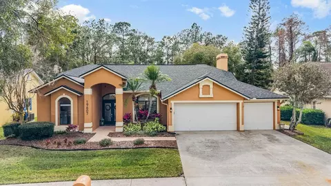 19607 Wyndham Lakes Dr, Odessa, FL 33556