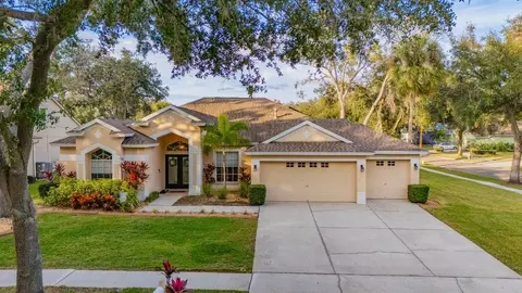 12537 River Birch Dr, Riverview, FL 33569