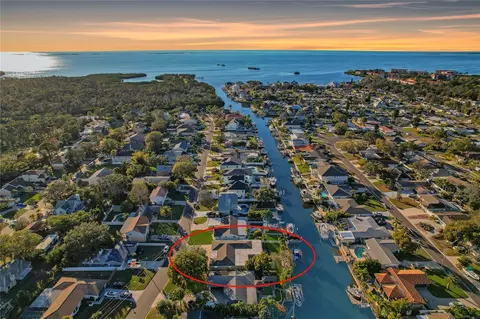 335 Crosswinds Dr, Palm Harbor, FL 34683
