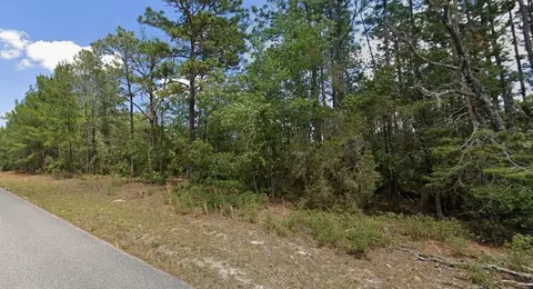 9181 N Satinwood Ter, Citrus Springs, FL 34433