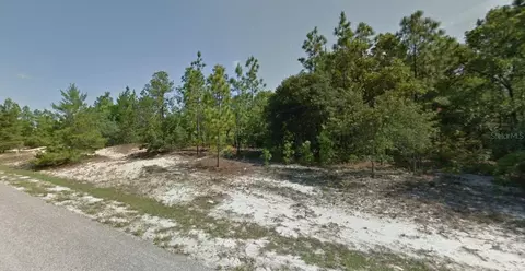 3499 W Webster Pl, Citrus Springs, FL 34433