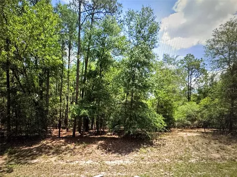 9819 N Pewter Ave, Dunnellon, FL 34434