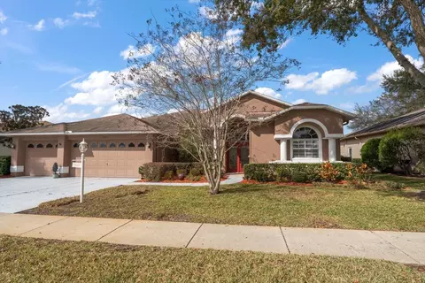 1237 Rambling Vine Ct, Trinity, FL 34655