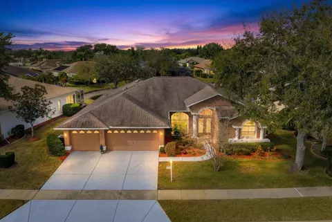 1237 Rambling Vine Ct, Trinity, FL 34655
