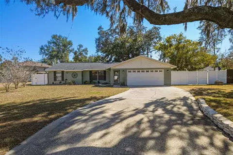 1309 Rustling Oaks Dr, Brandon, FL 33510