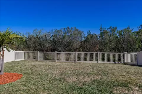 Exterior - 7430 Pool Compass Loop, Wesley Chapel, FL 33545 photo 13 of 22