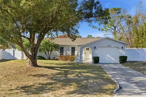 13295 Mitten Ln, Spring Hill, FL 34609