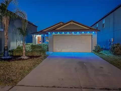 10222 Cool Waterlily Ave, Riverview, FL 33578