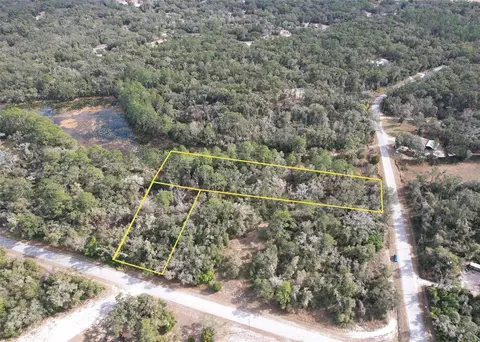 Lewis Lane, Webster, FL 33597 photo 2