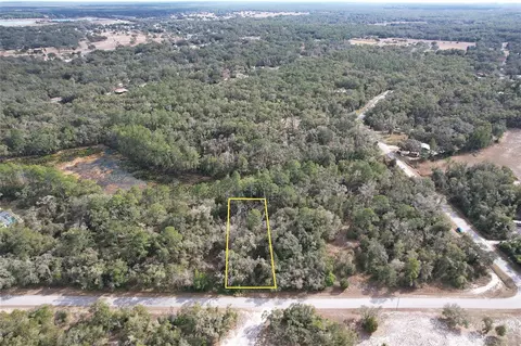Lewis Lane, Webster, FL 33597