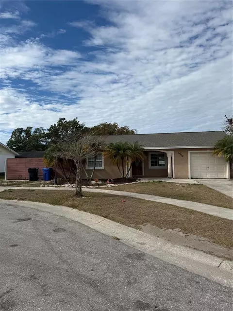11204 Millridge Dr, Tampa, FL 33625