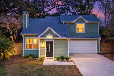 1303 W Carissa Ct, Tampa, FL 33604