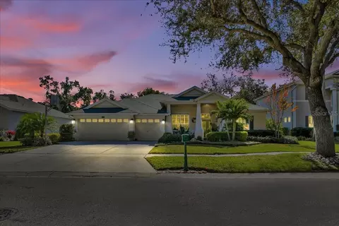 2226 Climbing Ivy Dr, Tampa, FL 33618