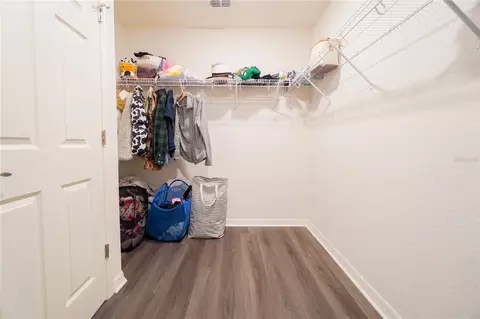 Other - 12288 Cypress Branch St, Riverview, FL 33579 photo 6 of 15