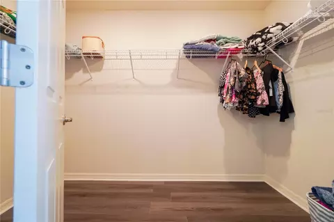 Other - 12288 Cypress Branch St, Riverview, FL 33579 photo 5 of 15
