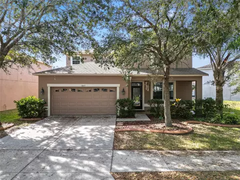 10615 Lucaya Dr, Tampa, FL 33647