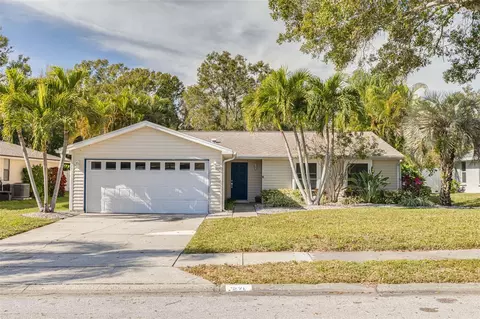 271 Sweetgum Ct, Palm Harbor, FL 34683