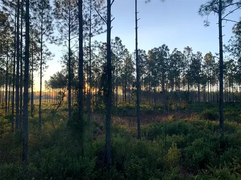 Clyatt Road, Chiefland, FL 32626