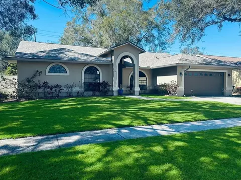 910 Balsamina Dr, Brandon, FL 33510