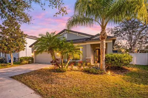 11652 Palmetto Pine St, Riverview, FL 33569