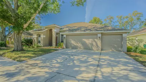 12804 Big Sur Dr, Tampa, FL 33625