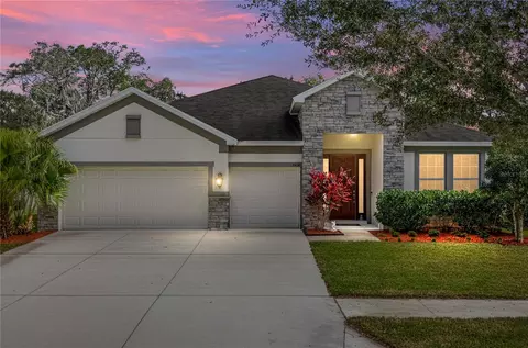 6414 Doe Path Ct, Wesley Chapel, FL 33545