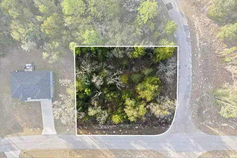 10953 N Ocean Dr, Citrus Springs, FL 34434
