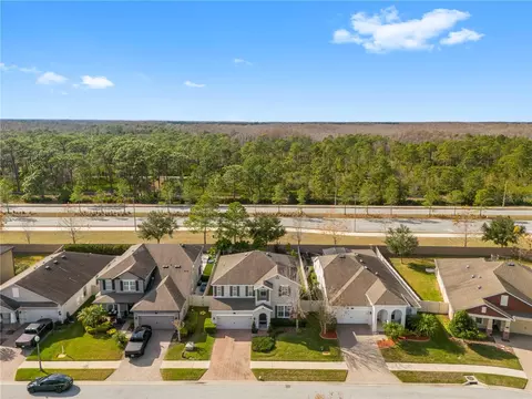 View/Area - 1565 Feather Grass Loop, Lutz, FL 33558 photo 1 of 9