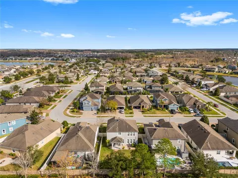 View/Area - 1565 Feather Grass Loop, Lutz, FL 33558 photo 5 of 9