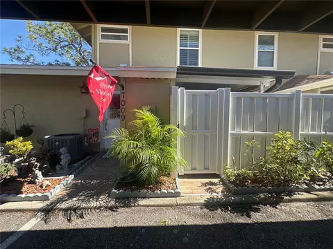 7009 Salinas Ct, Tampa, FL 33634